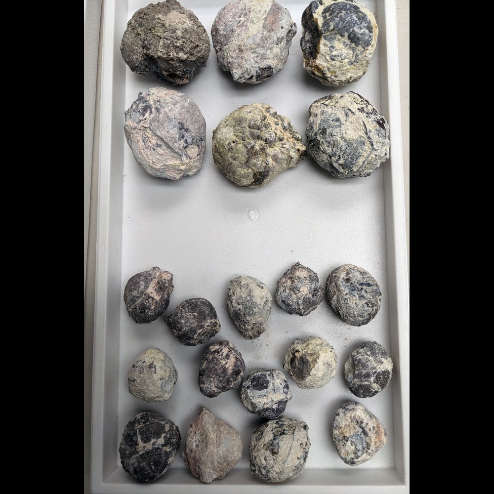 (TMMLS103) Fluorescent Dugway Geodes (Whole) By the LB - Image 3