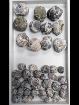 (TMMLS103) Fluorescent Dugway Geodes (Whole) By the LB